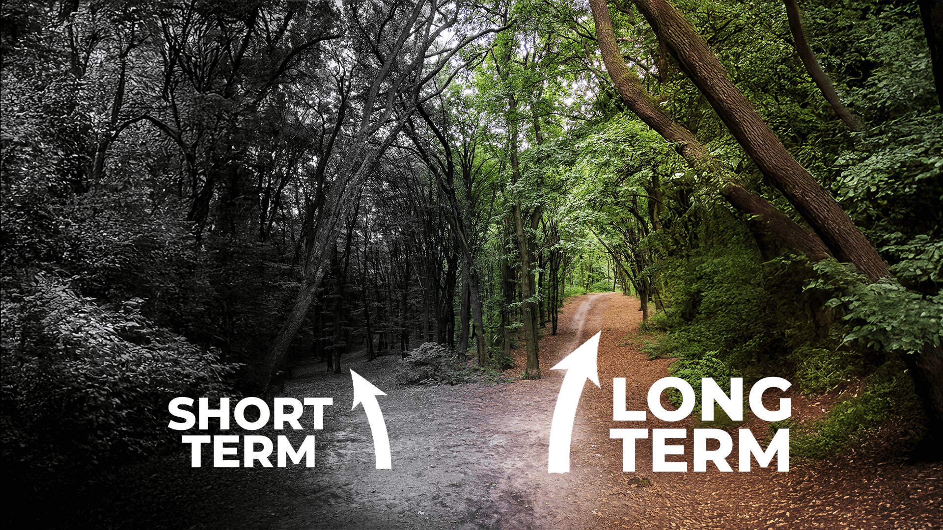 Short-term vs Long-term business results