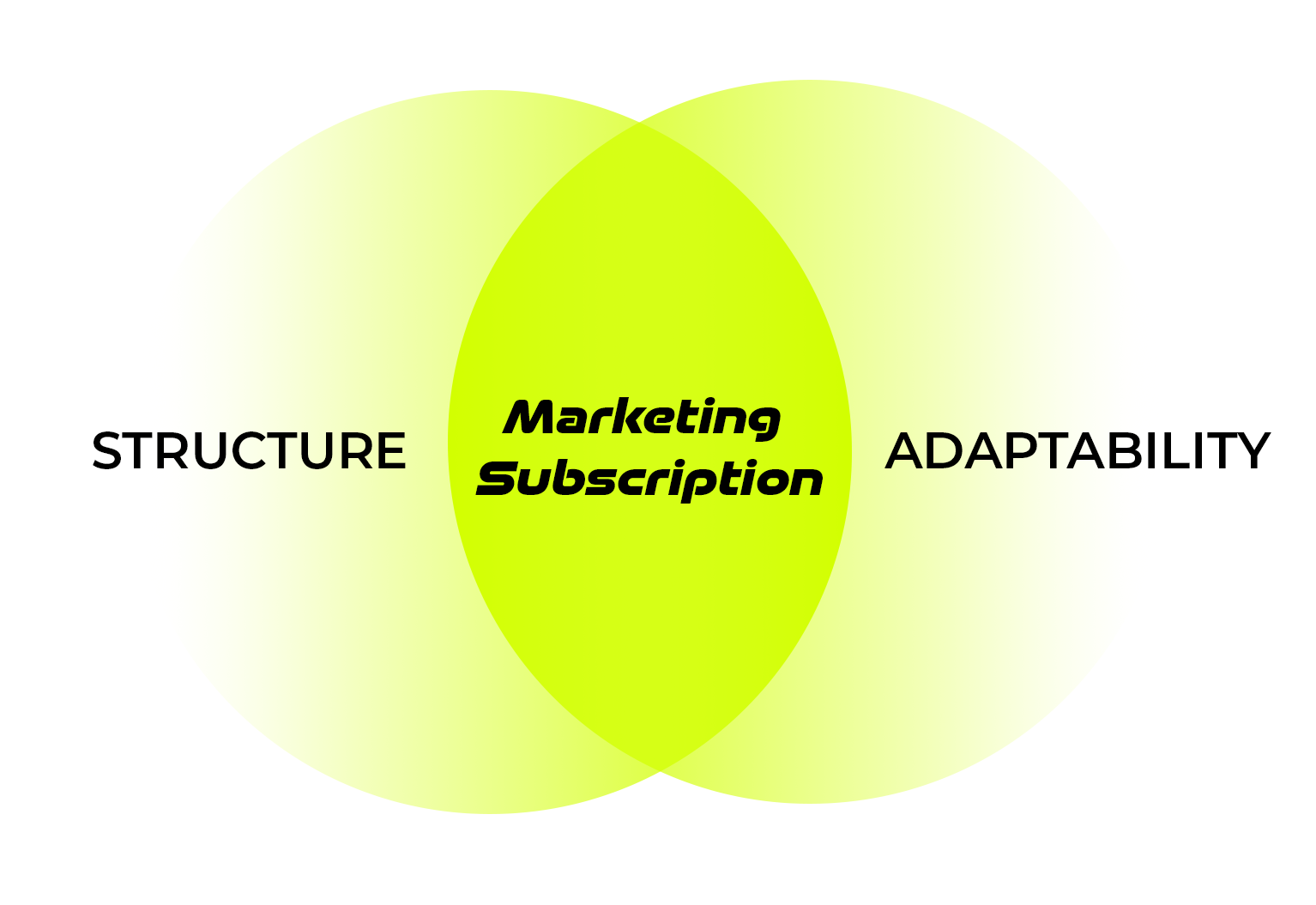 Marketing subscription includes both structure and adaptability.